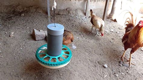 Como Hacer Un Comedero Casero Para Pollos O Gallinas Comederos De