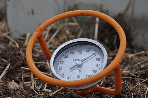 Soil Temperature Is Critical To Garden Plants Horticulture