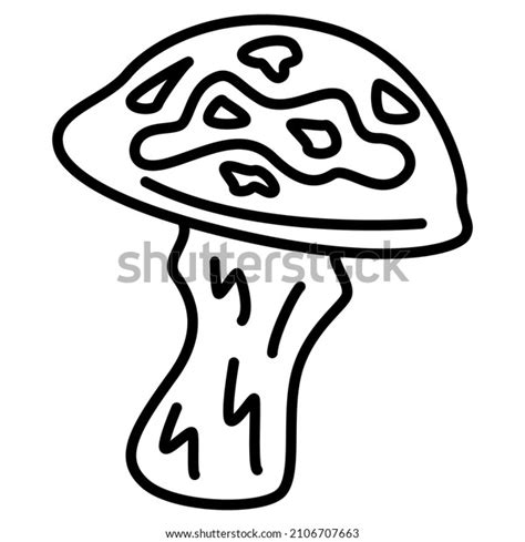 Suillus Luteus Yellow Boletus Boletus Luteus Stock Vector Royalty Free