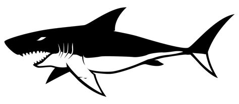 Shark Symbol on White 14848548 Vector Art at Vecteezy