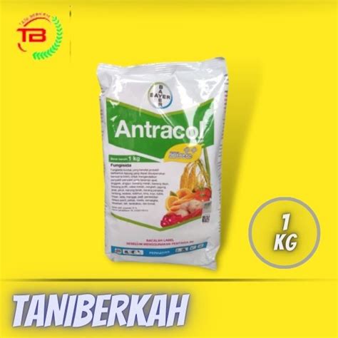 Jual Fungisida Antracol Kg Wp Plus Zinc Shopee Indonesia