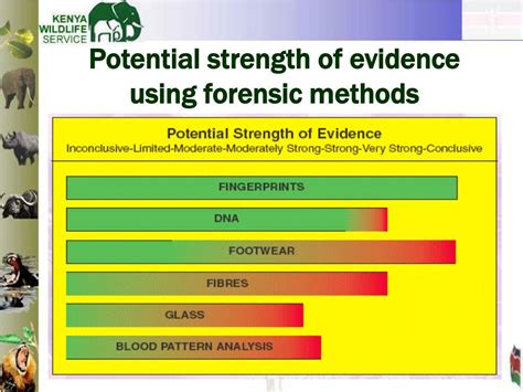 Ppt Forensic Science In Ille G Al Trade On Wildlife Powerpoint