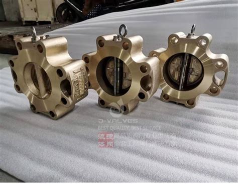 Class150 Lug Type C95800 Dual Plate Check Valve Industrial Valves