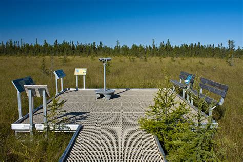 Minnesota Seasons Big Bog State Recreation Area