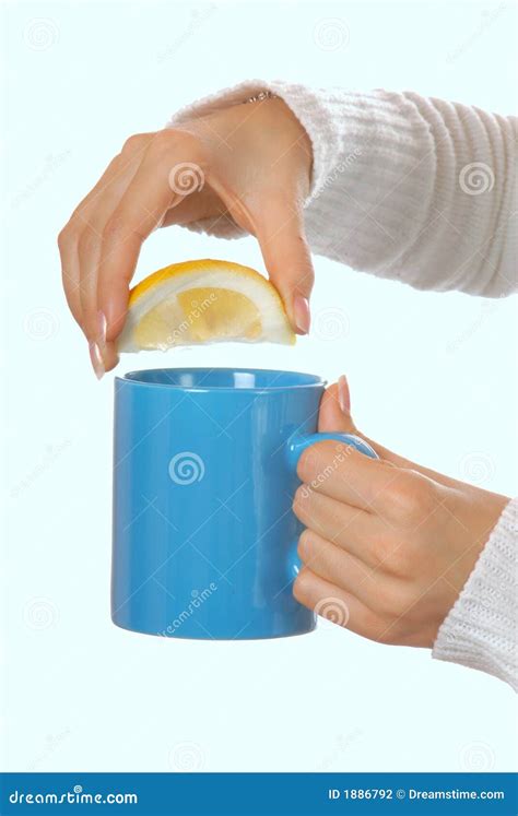 Attractive Brunette Squeezing Lemon In A Teacup Stock Photo Image Of