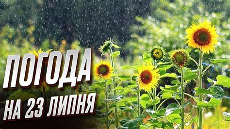 🌞 Погода на 23 липня: прогноз на неділю - YouTube