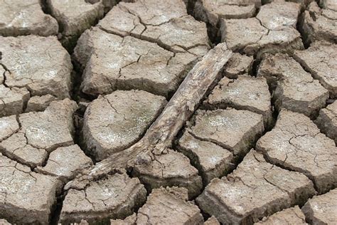 Dry Floor Dried Out Climate Free Photo On Pixabay Pixabay