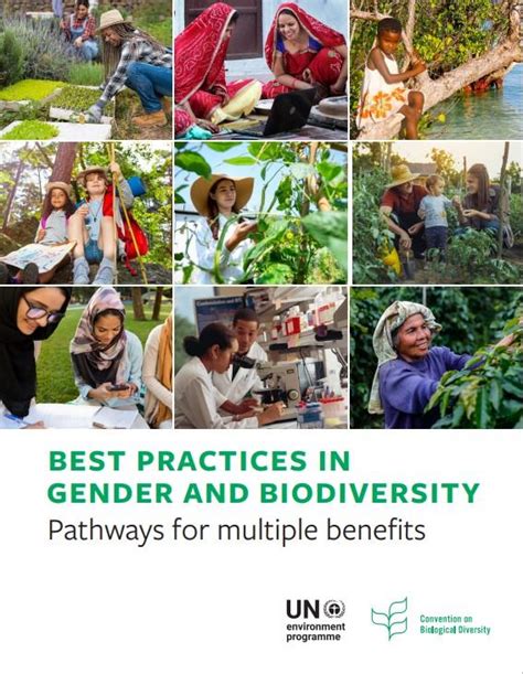 Best Practices In Gender And Biodiversity Urbanshift