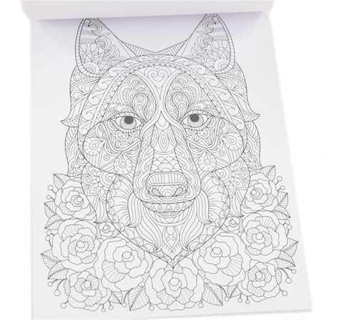 Craft Pobarvanka Colouring Book 20 Motivov 250gm2 Živalski Motivi