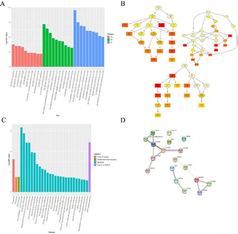 A Go Enrichment Analysis Histogram B Gene Ontology Dag Enrichment