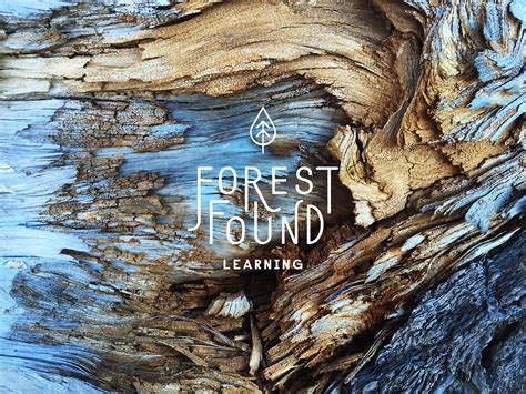 Forest Found Branding Mindsparkle Mag