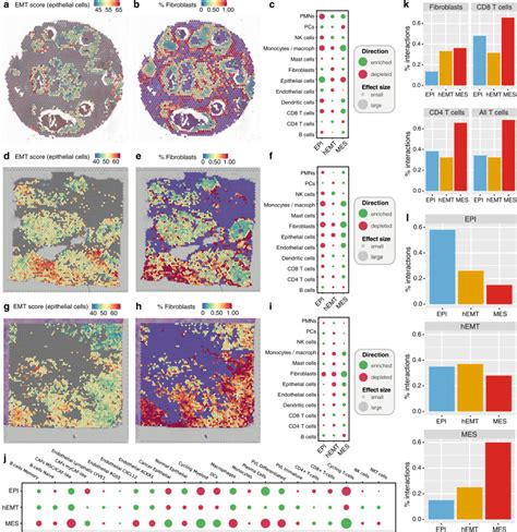 Genomic And Microenvironmental Heterogeneity Shaping Epithelial To