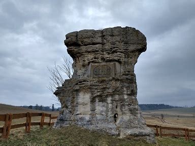 Pomniki przyrody podróżowanie nie boli