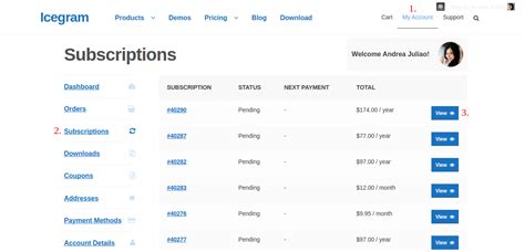 Manage Subscription Icegram