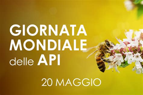 Giornata Mondiale Delle Api Jyoticommunication Blog