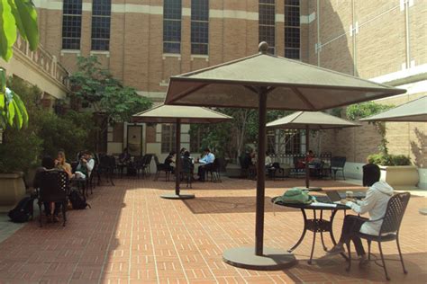 The Best Coffee Shops Near 50 College Campuses Slideshow