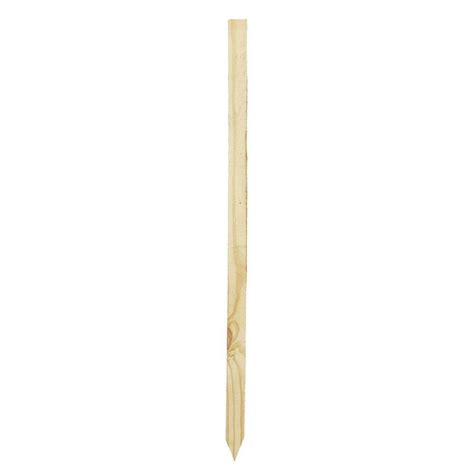 Wooden Stake 2 In X 2 In X 48 Ft Siteone