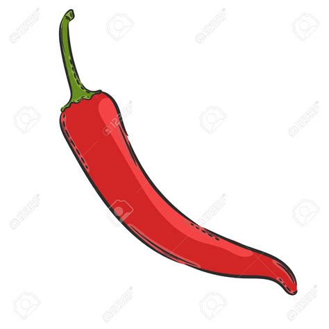 Chili Pepper Drawing at GetDrawings | Free download