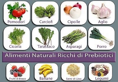 Probiotici Naturali Dove Si Trovano E Come Assumerli Evoluzione Hot