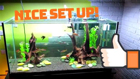 A Beginner S Guide To Gallon Aquarium Setup Fishxperts