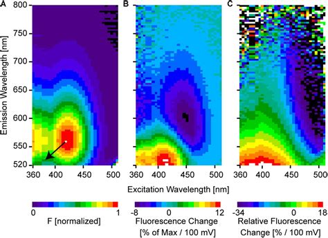 Frontiers Primer To Voltage Imaging With ANNINE Dyes And Two Photon