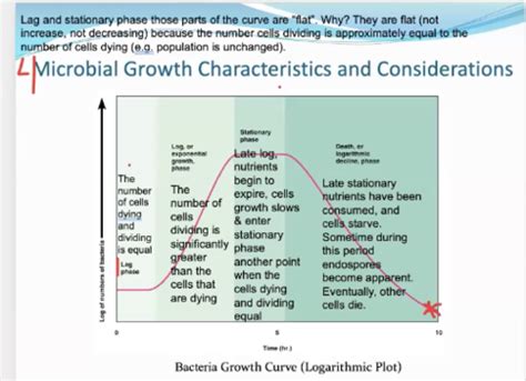 Lecture Ch. 8: Microbial Growth Flashcards | Quizlet 