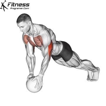 Muscles Worked By Medicine Ball