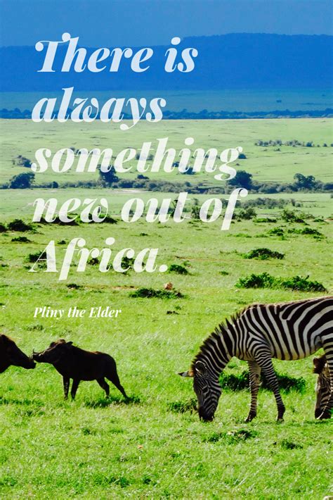 Quotes About South Africa S Beauty Shortquotes Cc