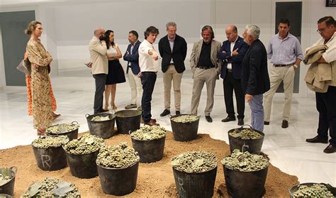 El Museo del Sitio de los Dólmenes de Antequera renueva sus exposiciones