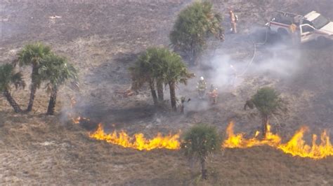 Photos Crews Battle Brush Fire In South Tampa Gallery