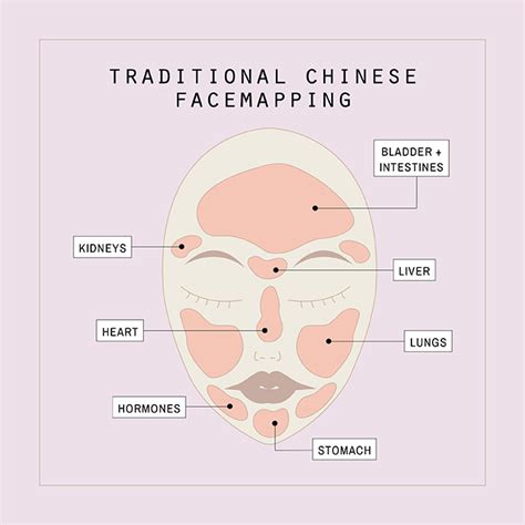 Acne Face Mapping Our Scientifically Backed Guide To Your Breakouts