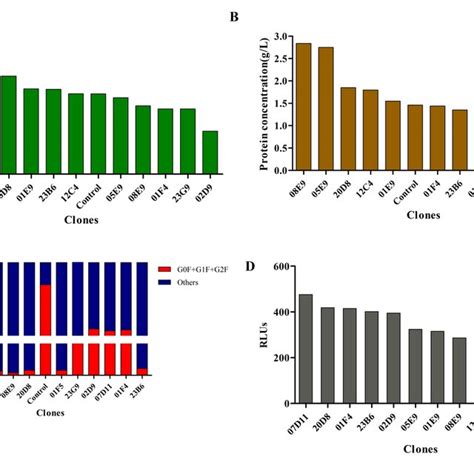 The Growth And Metabolism Of FUT8KO Monoclonal Cells During Batch And