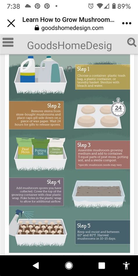 How To Grow Mushrooms In A 5 Gallon Bucket Artofit