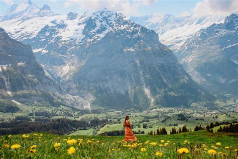 HIKING GRINDELWALD & OUR EXPERIENCE IN GRINDELWALD FIRST – The Twirling ...