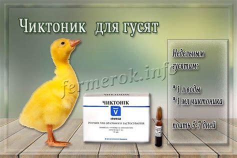 Чиктоник: что это, инструкция, показания к применению, дозировка