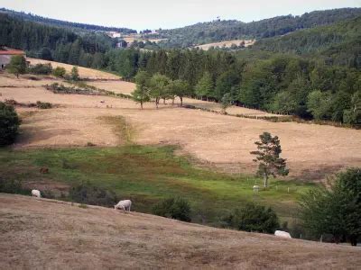 Der Regionale Naturpark Des Pilat F Hrer Tourismus Urlaub