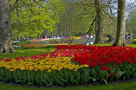 Keukenhof Lisse, Netherlands, Parks, Tulips, Trees, Design, HD ...