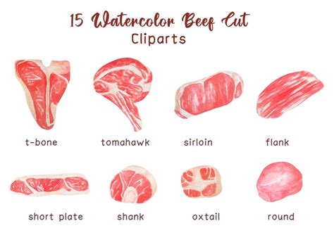 Beef Cut Clipart PNG Beef Clip Art Steak Cliparts Beef Watercolor