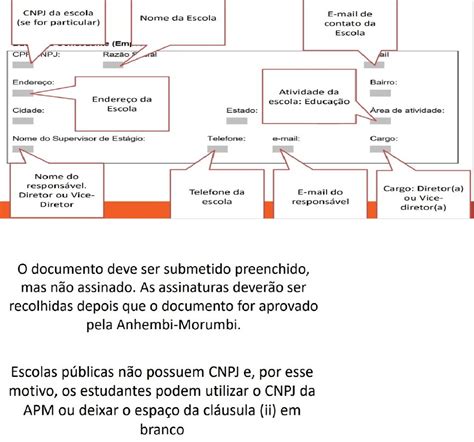 Passo A Passo Para Preenchimento Do Tce Projetos Interdisciplinares