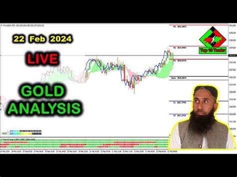 Live Gold Analysis Gold Buy Or Sell Feb Xauusd