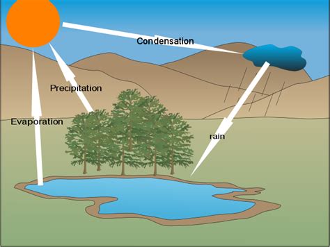 The rain cycle wennanW | USAUS-H2O