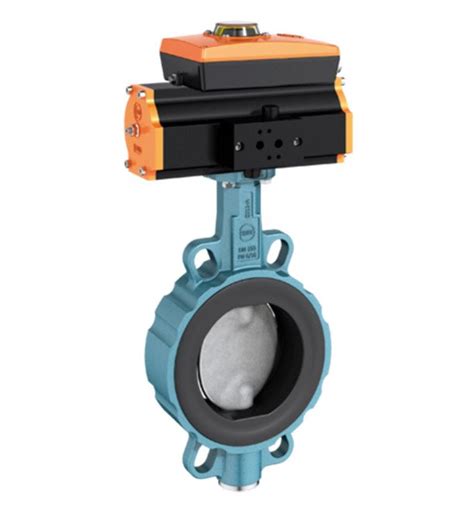 EBRO Armaturen • CGIS: Valves, Actuators & Accessories for Severe Service