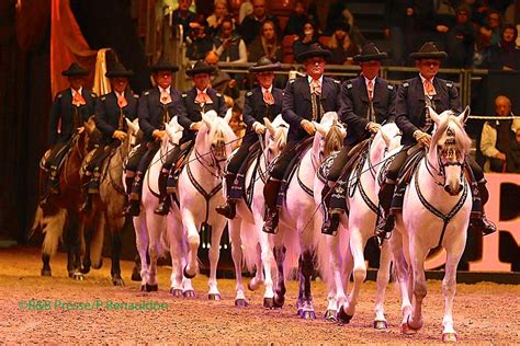 LEcole Royale Andalouse de Jerez à Bordeaux pour l ouverture du Jumping