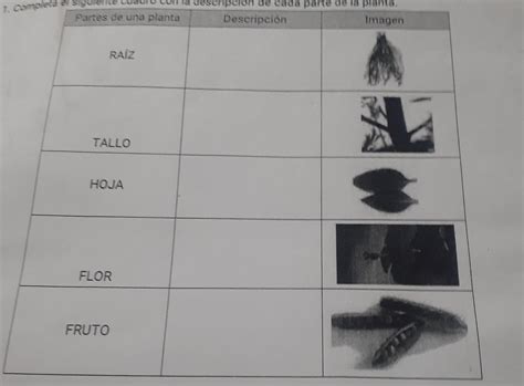 ayuda por favor Es para mañana 1 completa La siguiente siguiente cuadro