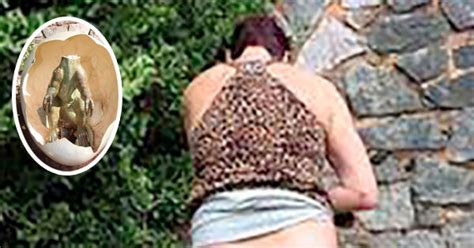 Polisen Utreder Fall Kvinna Hade Sex Med En Dinosaurie P Lekplats Nuntium Se