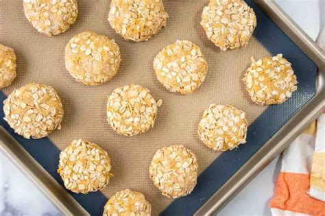 Homemade Low Fat Dog Treats Spoiled Hounds
