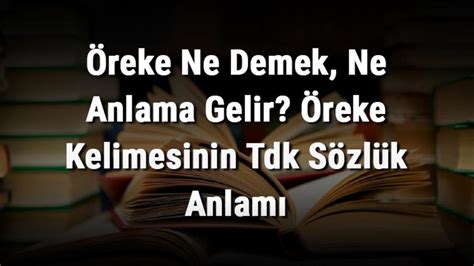 Reke Ne Demek Ne Anlama Gelir Reke Kelimesinin Tdk S Zl K Anlam