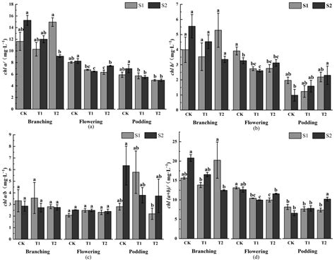 Atmosphere Free Full Text Effects Of Elevated Surface Ozone Concentration On Photosynthetic