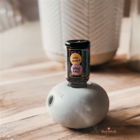 Doterra Bubble Diffuser With Hygge Cozy Blend Desert Naturals