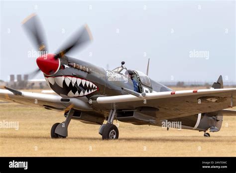 Supermarine Spitfire Mk Viii Vh Het Dans La Royal Australian Air Force